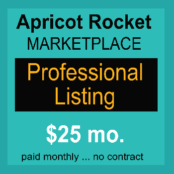 Professional Marketplace Listing - Monthly