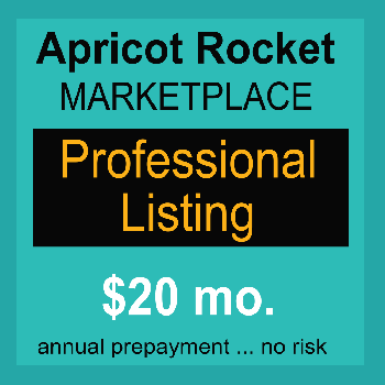 Professional Marketplace Listing - Annual Prepaid